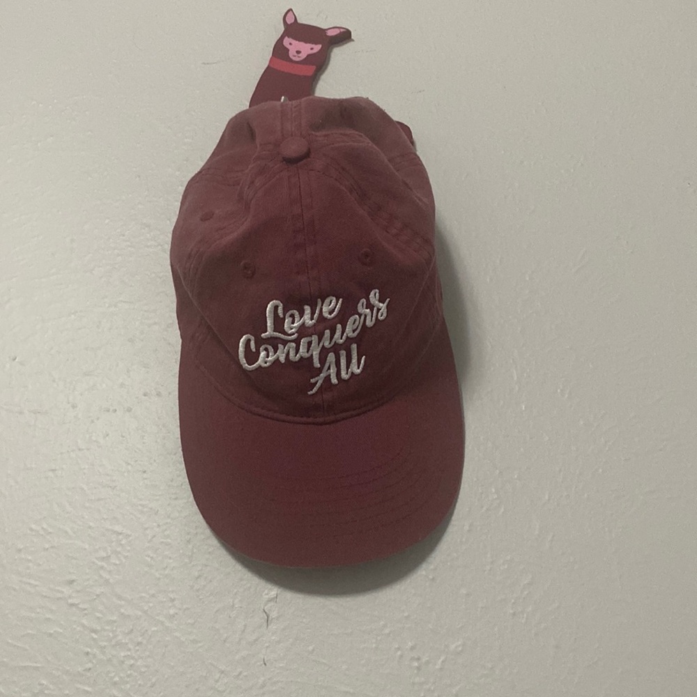 Express woman’s ball cap “love conquers all “